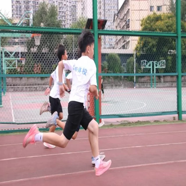 足球杯赛焦点对决：阵容解析与胜负预测